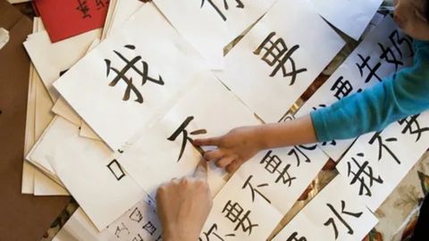 A close-up, high-angle shot of two hands, one adult and one child, pointing to Chinese characters written in black ink on white paper, scattered across a surface.








