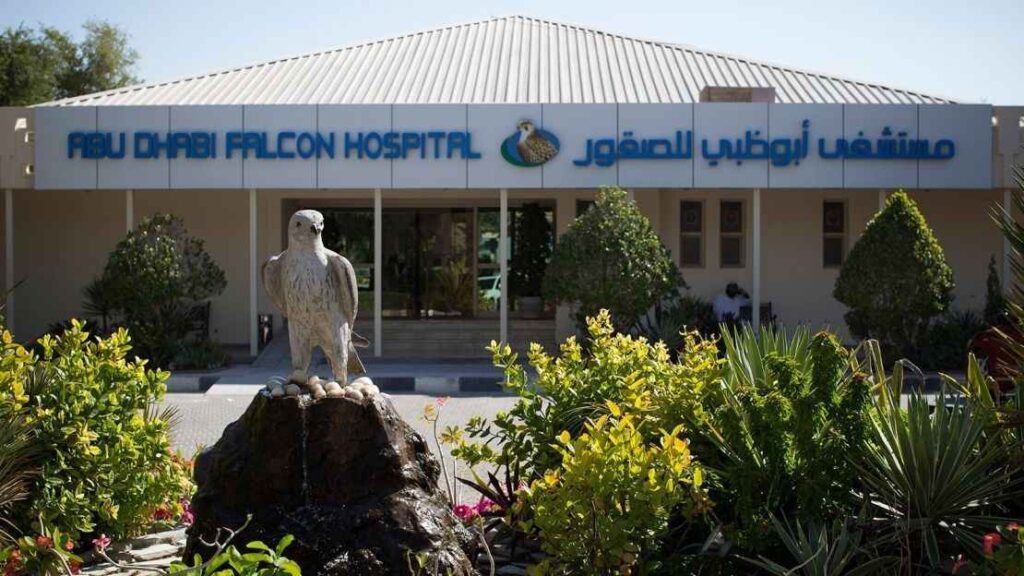 The exterior of the Abu Dhabi Falcon Hospital. The building has a sign with the hospital's name in both English and Arabic. In the foreground is a water feature with a statue of a falcon perched on a nest of eggs, surrounded by green shrubs.