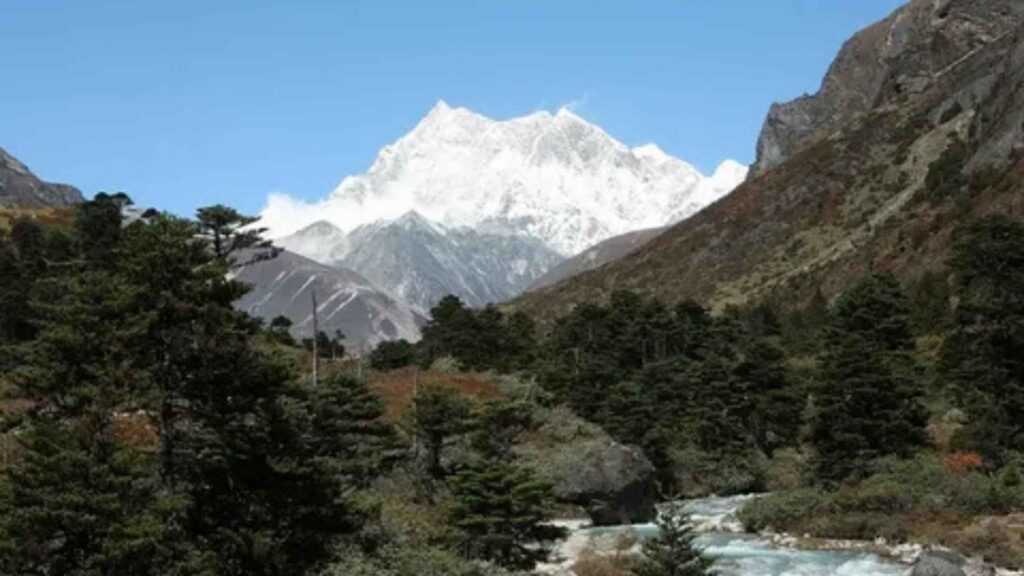A photograph shows the majestic Gangkhar Puensum mountain, its snow-capped peak dominating the clear blue sky. In the foreground, a vibrant green forest of pine trees and other vegetation lines a clear, fast-flowing river. The scene is set in a valley, with the mountain's rocky slopes and a few patches of snow visible on either side, all under a bright, sunny sky. The image conveys a sense of tranquility and the pristine beauty of the Bhutanese Himalayas.









