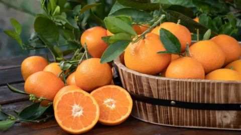 interesting facts about oranges