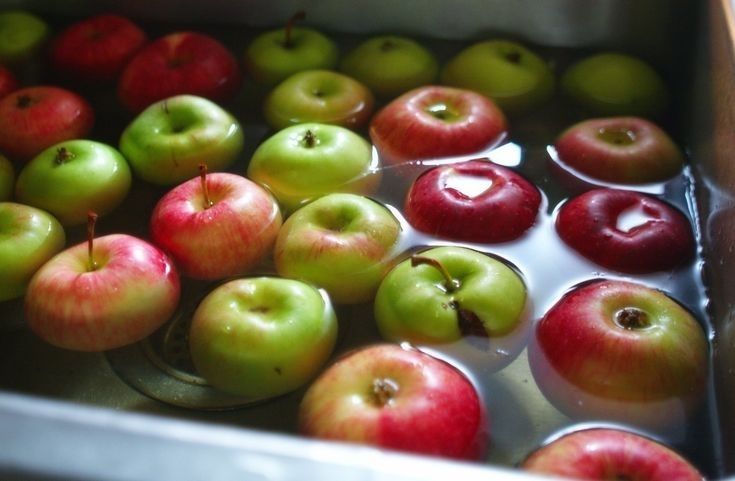  A close-up of red and green apples floating in a silver basin or sink filled with water, demonstrating their buoyancy and amazing facts about apple
