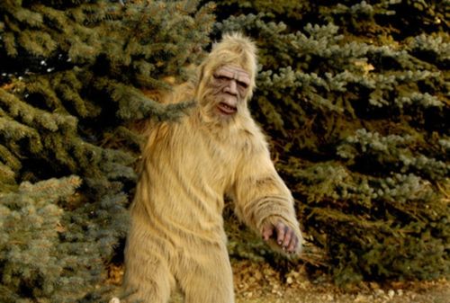 A costumed actor portraying Bigfoot, or yeti, standing in a coniferous forest. The person is wearing a shaggy, light-brown fur suit and a mask with a human-like face. They are leaning slightly forward, with one arm extended, as if walking or searching.