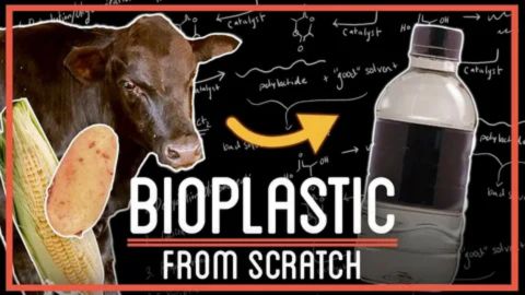 A visual concept showing a cow, corn, and a potato next to a plastic bottle, with text reading “Bioplastic From Scratch” and a background featuring chemical formulas.