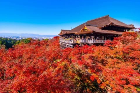 interesting facts about kyoto