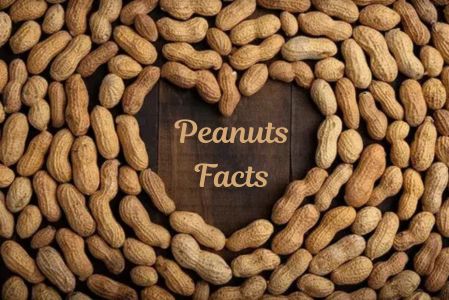 interesting facts about peanuts