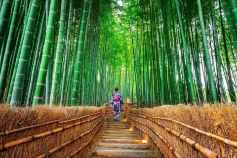 The image displays a woman wearing a traditional kimono (specifically a purple and pink patterned one) walking up a set of stone and wood stairs through the towering stalks of the Arashiyama Bamboo Grove in Kyoto, Japan. The bamboo stalks are a vibrant green, creating a dense, luminous canopy overhead, while the path is bordered by woven bamboo fencing and lit by small, recessed floor lights. The image captures the serene, almost otherworldly atmosphere of the grove.