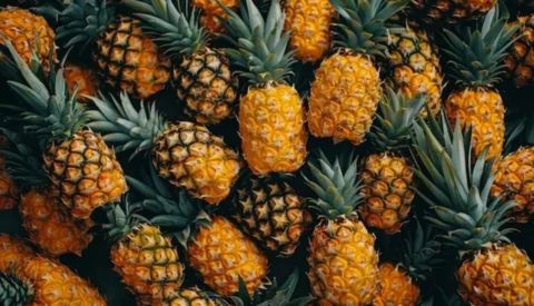 An overhead view of many ripe pineapples, densely packed together, with their golden-yellow, scaled fruit bodies interspersed with their spiky, dark green crowns and leaves. The lighting is slightly dramatic, highlighting the texture of the fruit against the dark green foliage.
