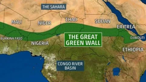 A map of Africa illustrating the planned route of The Great Green Wall initiative. The wall is shown as a thick green band stretching across the Sahel region, south of the Sahara Desert, passing through countries like Senegal, Mali, Niger, Chad, Sudan, Eritrea, Djibouti, and Ethiopia. The map also labels the Congo River Basin to the south.