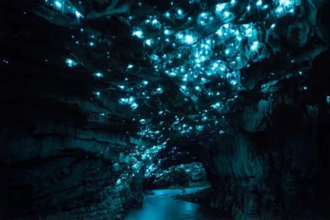 A dark cave interior with a river flowing through it, illuminated by thousands of bright, ethereal blue-green glowworms clinging to the ceiling, resembling a starry night sky