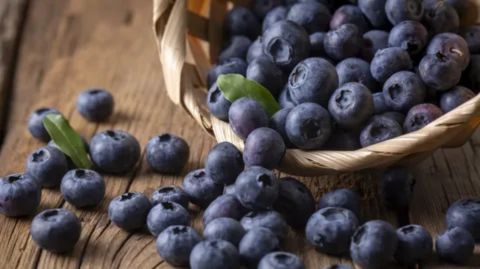 interesting facts about blueberries