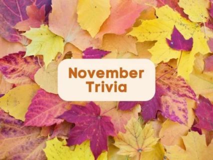interesting facts about november