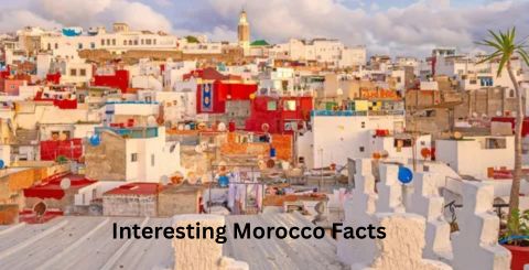 Panoramic rooftop view of a white-washed Moroccan city with a mosque minaret in the background, serving as the featured image for the article on interesting Morocco facts