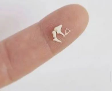 A close-up of a person's fingertip holding the three tiny middle ear bones—the malleus (hammer), incus (anvil), and stapes (stirrup)—demonstrating their minute size.