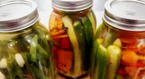 Three mason jars showcasing different types of homemade preserved vegetables, including green beans, cucumbers, and carrots in brine, illustrating the global diversity of pickles.