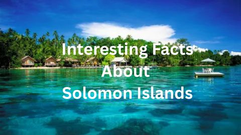 Luxury resort bungalows on stilts over turquoise water on a tropical Solomon Islands beach, framed by lush palm trees, with a floating dock nearby. Interesting Facts About Solomon Islands.