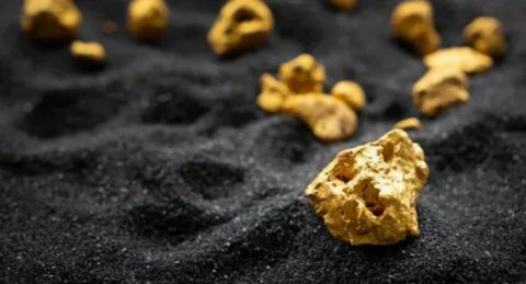 Gold nuggets scattered on dark black sand, with one large nugget in focus in the foreground